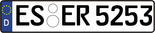 ES-ER5253
