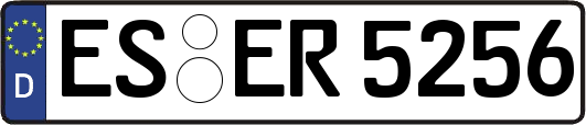 ES-ER5256