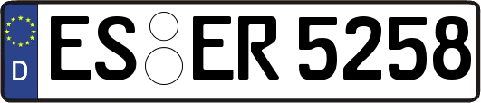 ES-ER5258