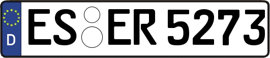 ES-ER5273