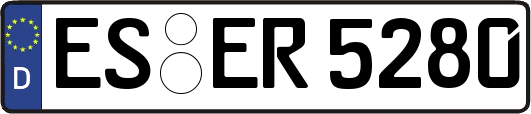 ES-ER5280