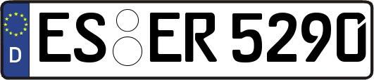 ES-ER5290