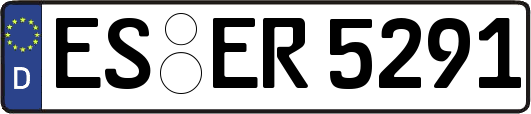 ES-ER5291