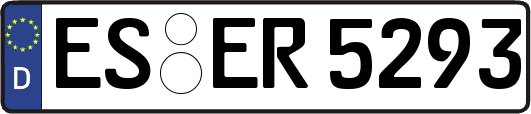 ES-ER5293