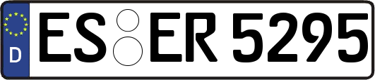 ES-ER5295