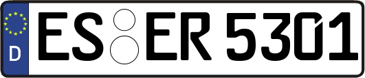 ES-ER5301
