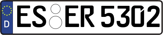 ES-ER5302