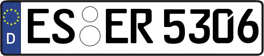 ES-ER5306
