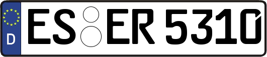 ES-ER5310