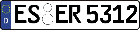 ES-ER5312