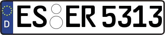 ES-ER5313