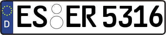 ES-ER5316