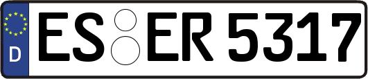 ES-ER5317
