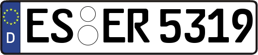 ES-ER5319