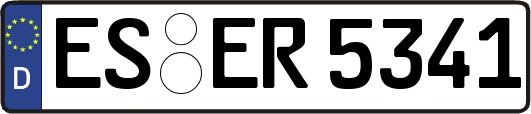 ES-ER5341