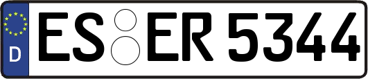 ES-ER5344