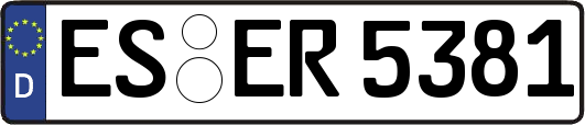 ES-ER5381