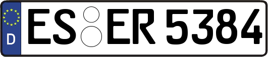 ES-ER5384