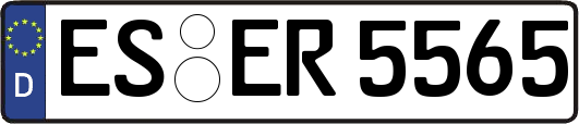 ES-ER5565