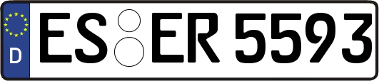 ES-ER5593