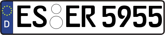 ES-ER5955