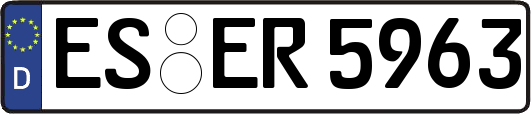 ES-ER5963