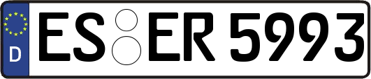 ES-ER5993