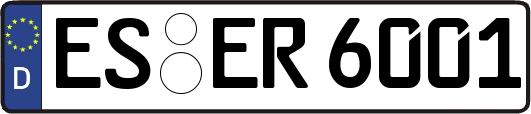 ES-ER6001