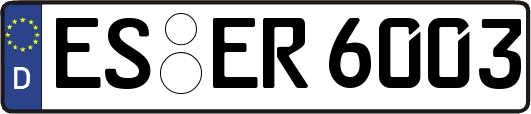 ES-ER6003