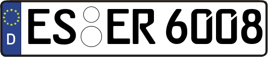 ES-ER6008