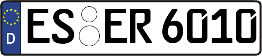 ES-ER6010