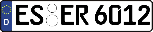 ES-ER6012