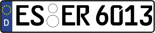 ES-ER6013