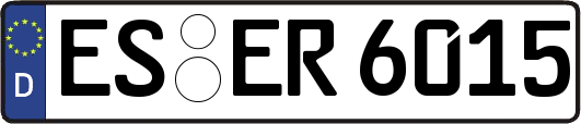 ES-ER6015