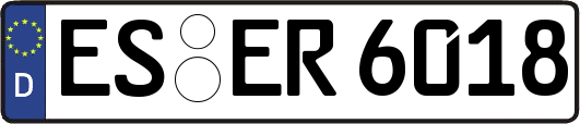 ES-ER6018
