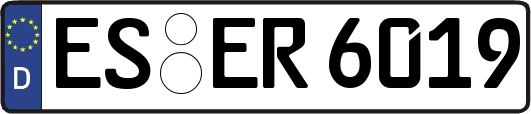 ES-ER6019