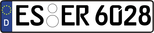 ES-ER6028