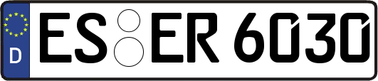 ES-ER6030