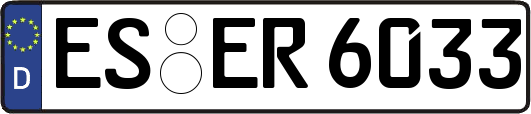 ES-ER6033