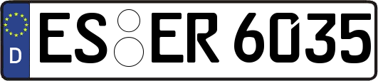 ES-ER6035