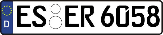 ES-ER6058