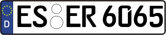 ES-ER6065