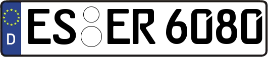 ES-ER6080