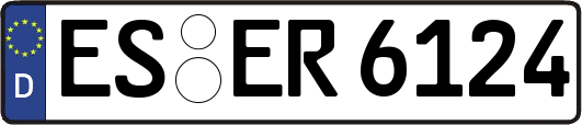 ES-ER6124