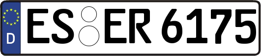 ES-ER6175