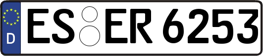 ES-ER6253