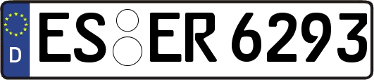 ES-ER6293