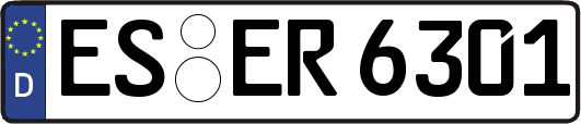 ES-ER6301