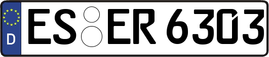 ES-ER6303