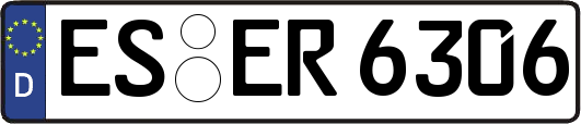 ES-ER6306
